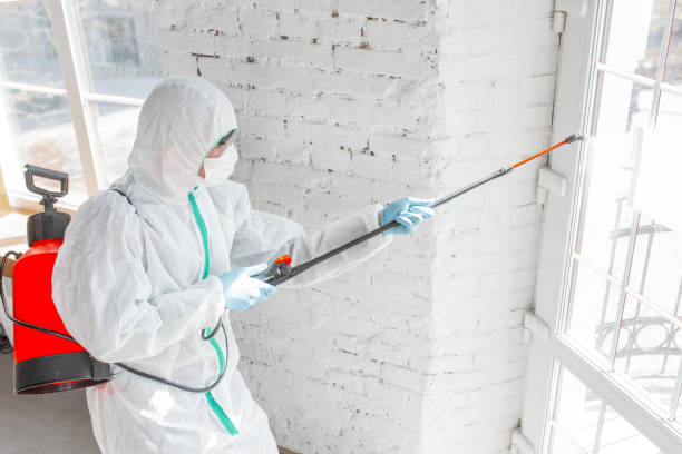 Best Biohazard Mold Removal  in Havre De Grace, MD